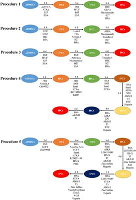 Novel Functional Genes Involved in Transdifferentiation of Canine ADMSCs Into Insulin-Producing Cells, as Determined by Absolute Quantitative Transcriptome Sequencing Analysis